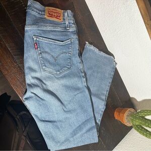 Levi's Classic Blue Denim Jeans